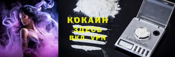 ALPHA-PVP Гусев