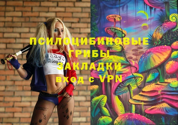 МДПВ Гусь-Хрустальный