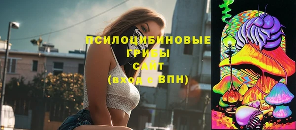 МДПВ Гусь-Хрустальный